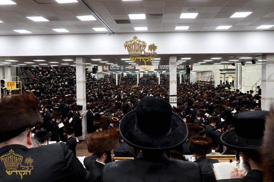 🌴בצל הקודש🌴 
רבינו שליט"א ביי אמירת כל ספר תהילים 
