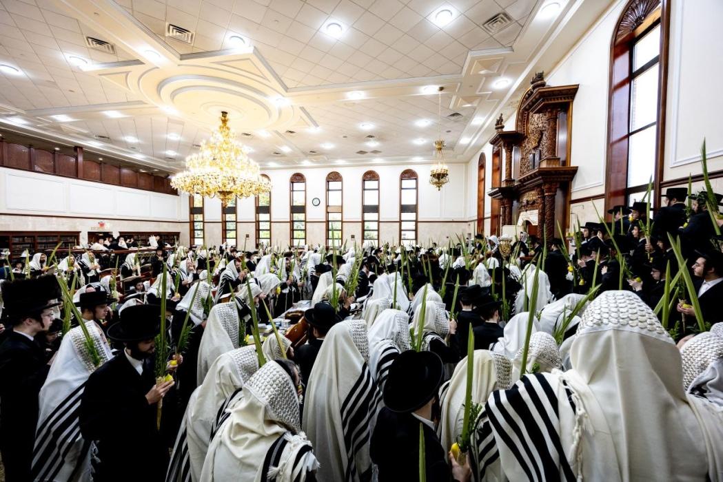 🌴חצר הקודש🌴
כ"ק מרן הגאב"ד שליט"א ביי די עבודת הקו