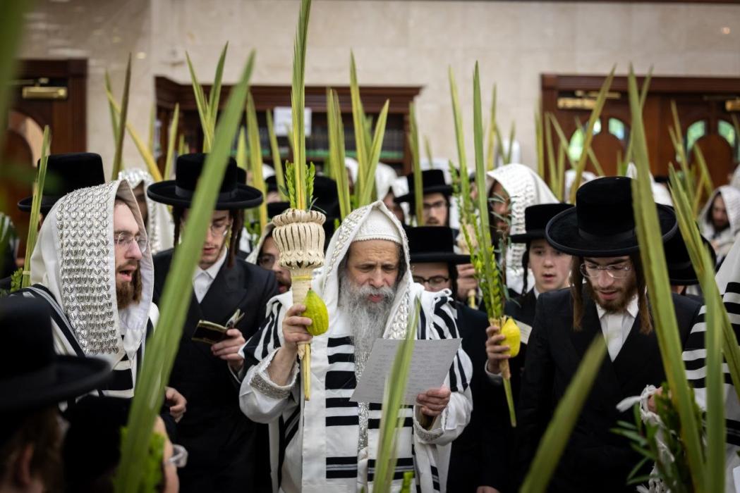 🌴חצר הקודש🌴
כ"ק מרן הגאב"ד שליט"א ביי די עבודת הקו