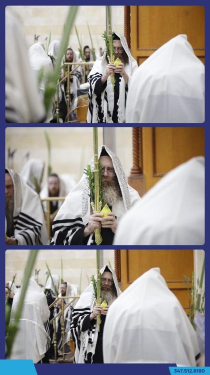 אבד"ק אמונת ישראל ביי די נענועים.