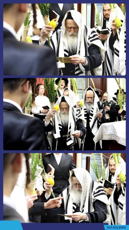 האדמו"ר מבית חיים יהושע ובנו גאב"ד סאטמאר מאנסי בי