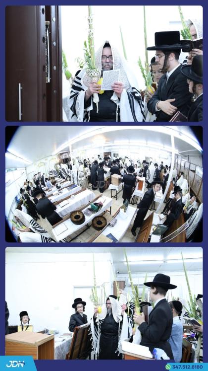 האדמו"ר מסקולען פון ירושלים ביי די נענועים און הוש