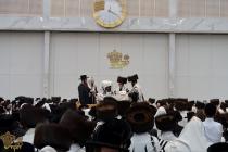 🌴בצל הקודש🌴 
רבינו שליט"א ביים אפרעכטן די עבודת הק