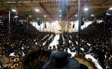 🌴בצל הקודש🌴 
רבינו שליט"א ביים עריכת שלחן הטהור לי