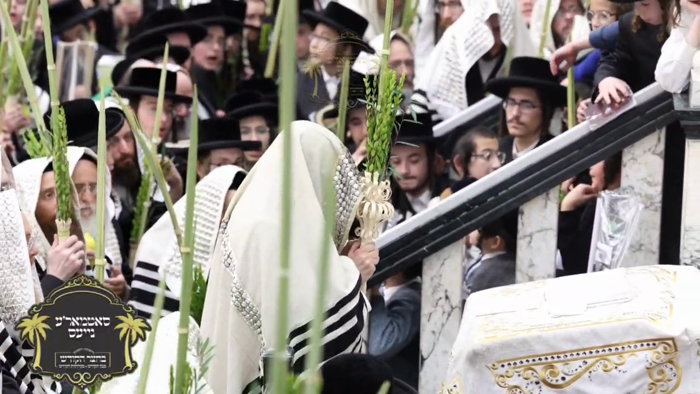 יום הושענא רבה בצל הקודש פון כ''ק רבינו הגה''ק שלי