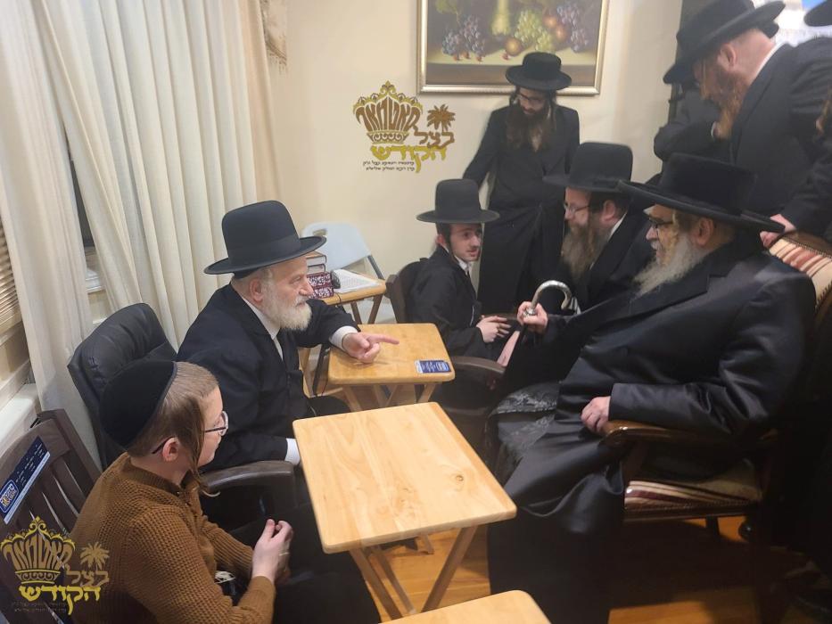 🌴בצל הקודש🌴 
רבינו שליט"א ביי ניחום אבילים ביי משפ