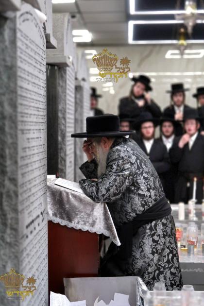 🌴בצל הקודש🌴 
רבינו שליט"א ביים פוקד זיין די ציונים