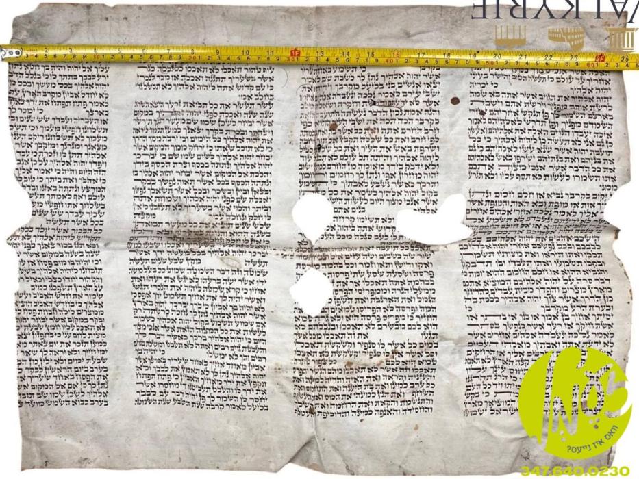 נארוועגיע - גרויס אויפברויז הערשט ביי אידישע ארגאנ