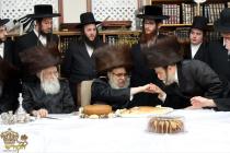 🌴בצל הקודש🌴 
רבינו שליט"א ביים שמחת הברית פון נכד 