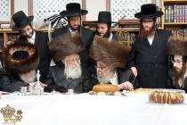 🌴בצל הקודש🌴 
רבינו שליט"א ביים שמחת הברית פון נכד 
