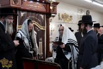 🌴בצל הקודש🌴 
רבינו שליט"א ביים שמחת הברית פון נכד 