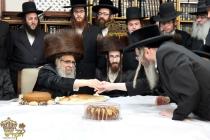 🌴בצל הקודש🌴 
רבינו שליט"א ביים שמחת הברית פון נכד 