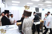 🌴בצל הקודש🌴 
רבינו שליט"א ביים זיך אומקוקן אינעם מ